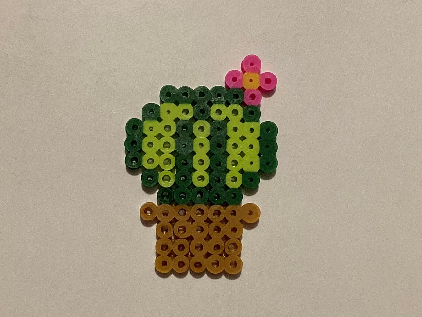 Cactus