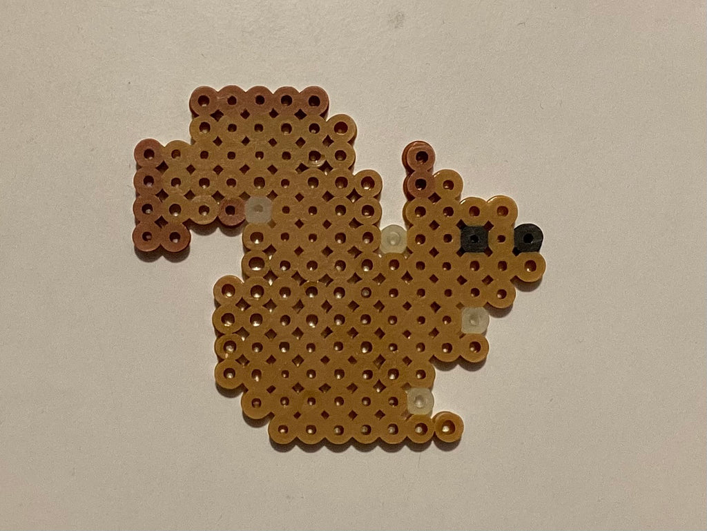 Squirrel