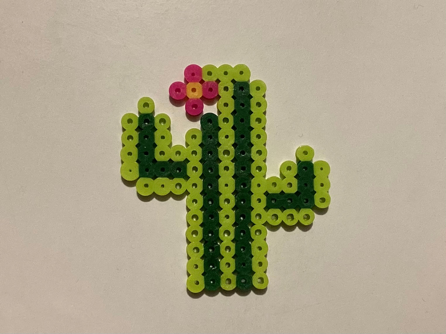 Cactus