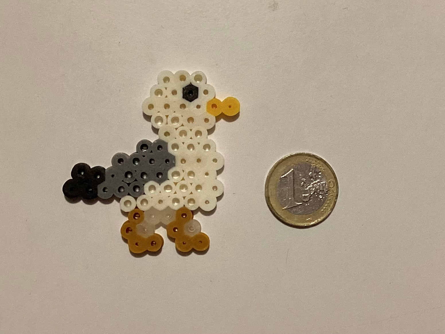 Seagull